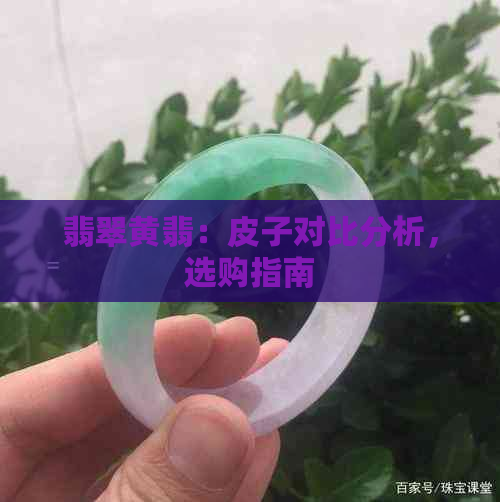 翡翠黄翡：皮子对比分析，选购指南