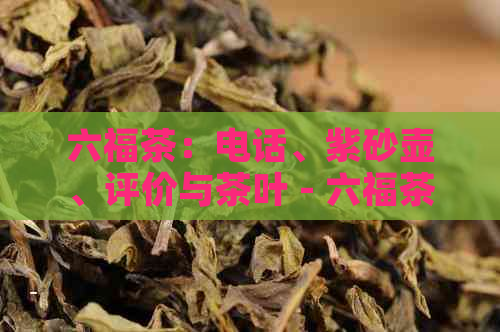 六福茶：电话、紫砂壶、评价与茶叶 - 六福茶业