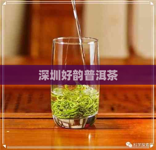 深圳好韵普洱茶