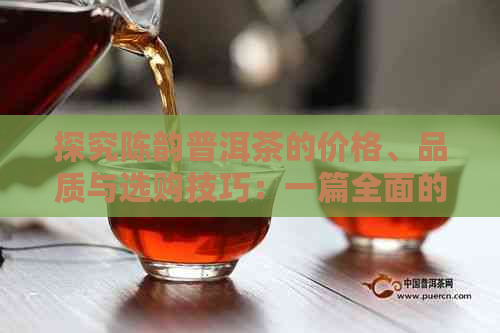 探究陈韵普洱茶的价格、品质与选购技巧：一篇全面的指南