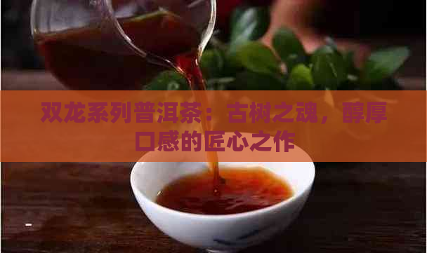 双龙系列普洱茶：古树之魂，醇厚口感的匠心之作