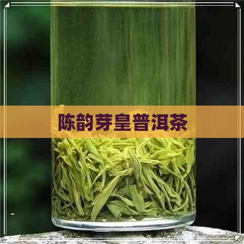 陈韵芽皇普洱茶