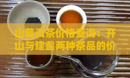 山普洱茶价格查询：开山与建盏两种茶品的价格一览