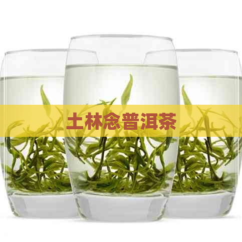 土林念普洱茶