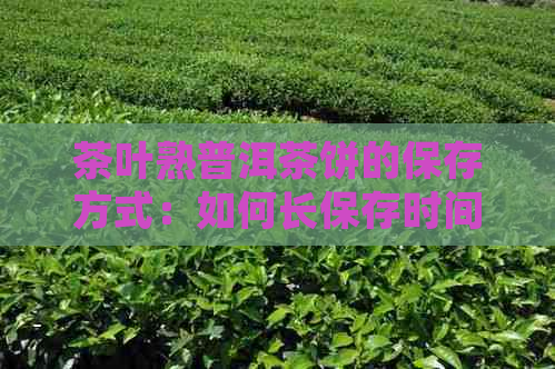 茶叶熟普洱茶饼的保存方式：如何长保存时间并保持其品质