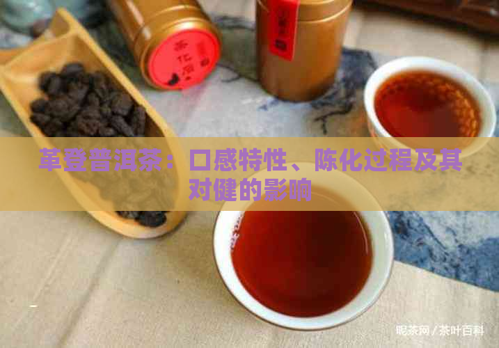 革登普洱茶：口感特性、陈化过程及其对健的影响