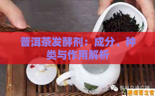 普洱茶发酵剂：成分、种类与作用解析