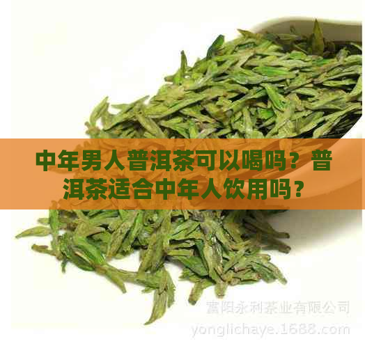 中年男人普洱茶可以喝吗？普洱茶适合中年人饮用吗？