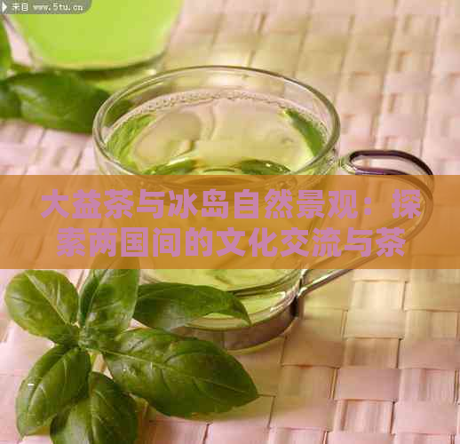 大益茶与冰岛自然景观：探索两国间的文化交流与茶叶魅力