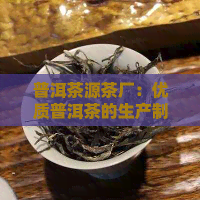 普洱茶源茶厂：优质普洱茶的生产制造商，提供全方位的茶叶选择与品鉴指南