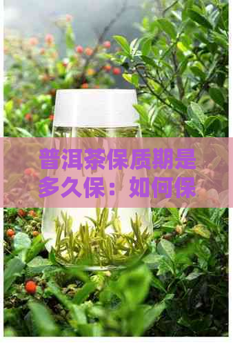 普洱茶保质期是多久保：如何保存普洱茶以及其保质期限？