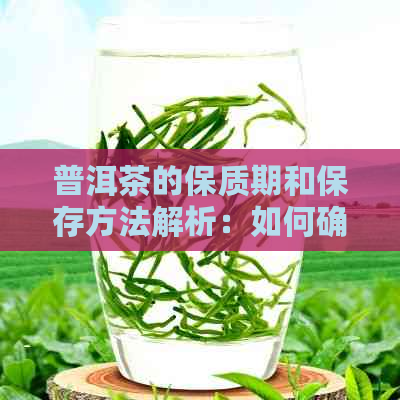 普洱茶的保质期和保存方法解析：如何确保茶叶品质和口感？