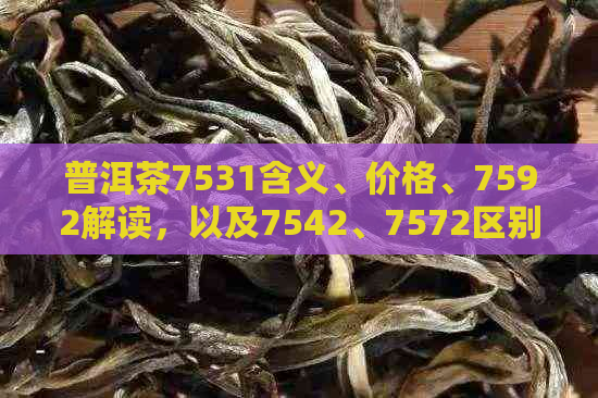 普洱茶7531含义、价格、7592解读，以及7542、7572区别和7562等级解析