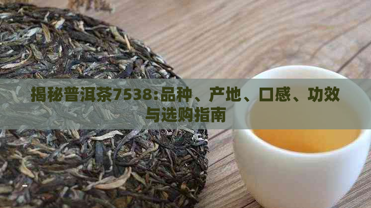 揭秘普洱茶7538:品种、产地、口感、功效与选购指南