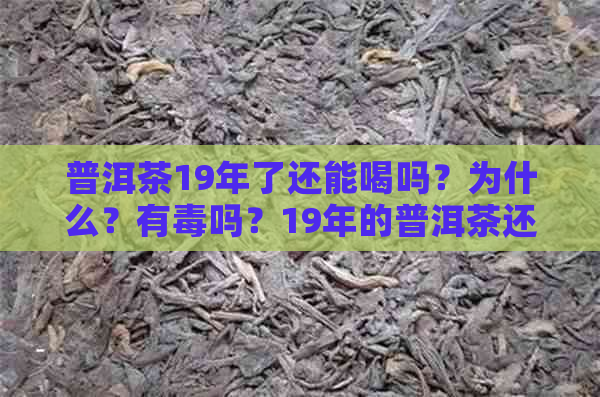 普洱茶19年了还能喝吗？为什么？有吗？19年的普洱茶还能喝吗？