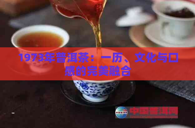 1973年普洱茶：一历、文化与口感的完美融合