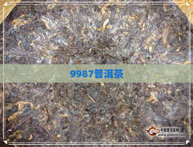 9987普洱茶