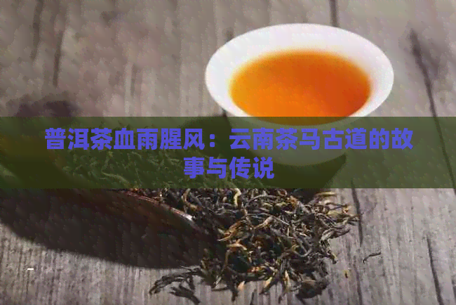 普洱茶血雨腥风：云南茶马古道的故事与传说