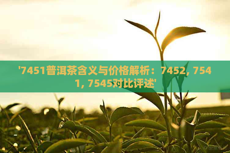 '7451普洱茶含义与价格解析：7452, 7541, 7545对比评述'