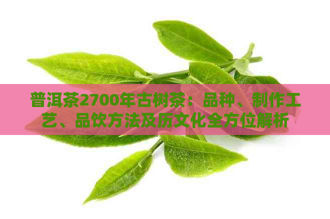 普洱茶2700年古树茶：品种、制作工艺、品饮方法及历文化全方位解析