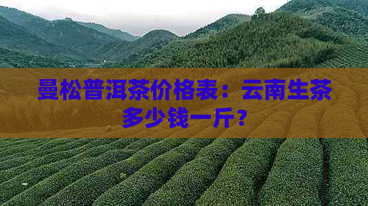 曼松普洱茶价格表：云南生茶多少钱一斤？