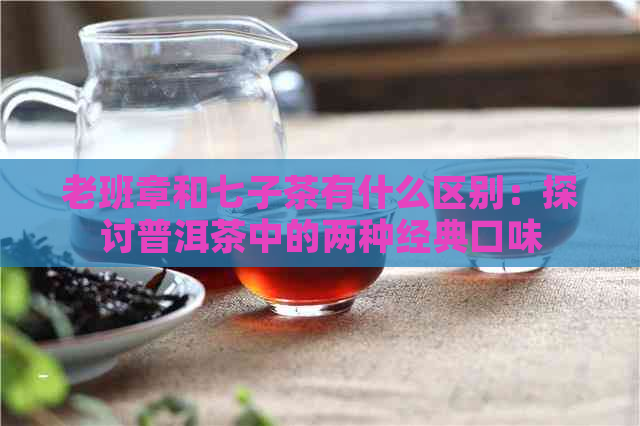 老班章和七子茶有什么区别：探讨普洱茶中的两种经典口味