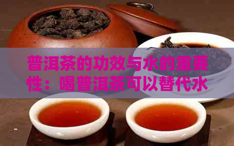 普洱茶的功效与水的重要性：喝普洱茶可以替代水吗？