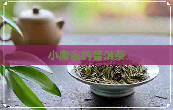 小爬家的普洱茶