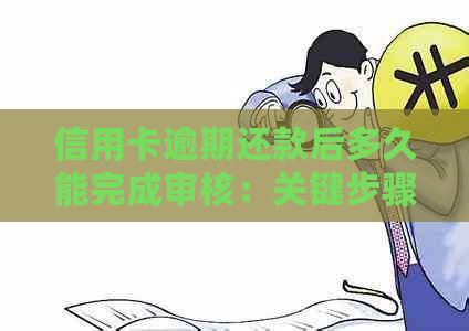 信用卡逾期还款后多久能完成审核：关键步骤与等待时间解读