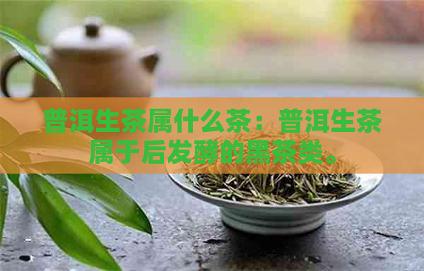 普洱生茶属什么茶：普洱生茶属于后发酵的黑茶类。