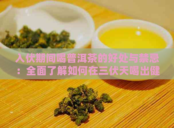 入伏期间喝普洱茶的好处与禁忌：全面了解如何在三伏天喝出健与适