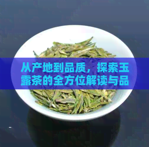 从产地到品质，探索玉露茶的全方位解读与品鉴技巧