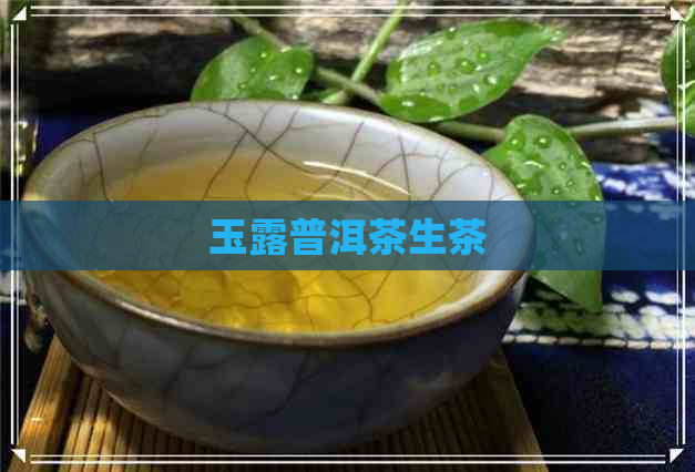 玉露普洱茶生茶