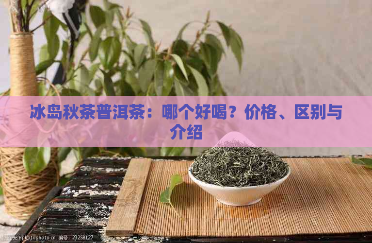 冰岛秋茶普洱茶：哪个好喝？价格、区别与介绍