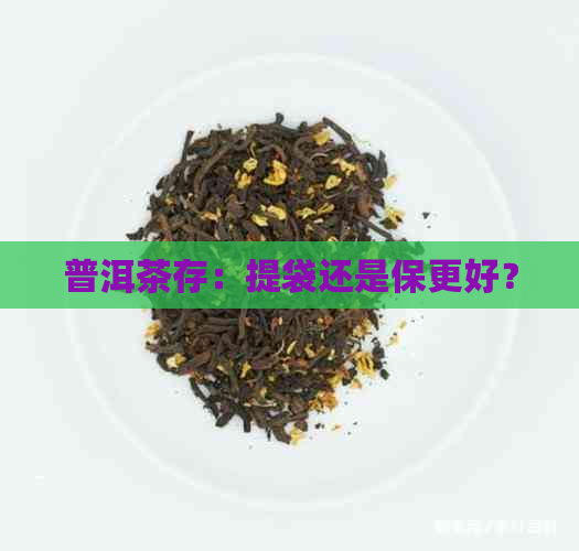 普洱茶存：提袋还是保更好？