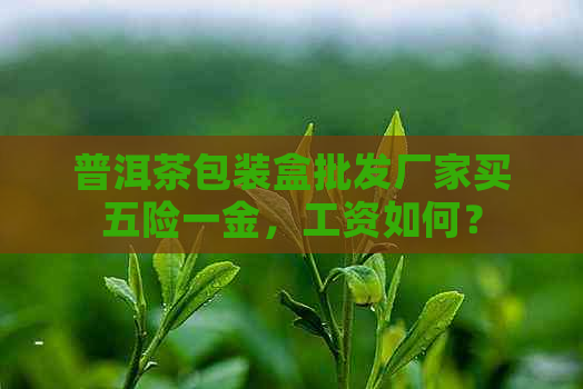 普洱茶包装盒批发厂家买五险一金，工资如何？