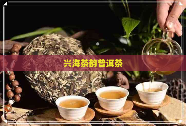 兴海茶韵普洱茶