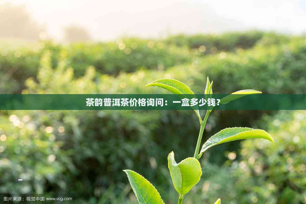 茶韵普洱茶价格询问：一盒多少钱？