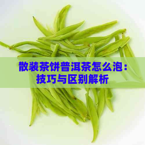 散装茶饼普洱茶怎么泡：技巧与区别解析