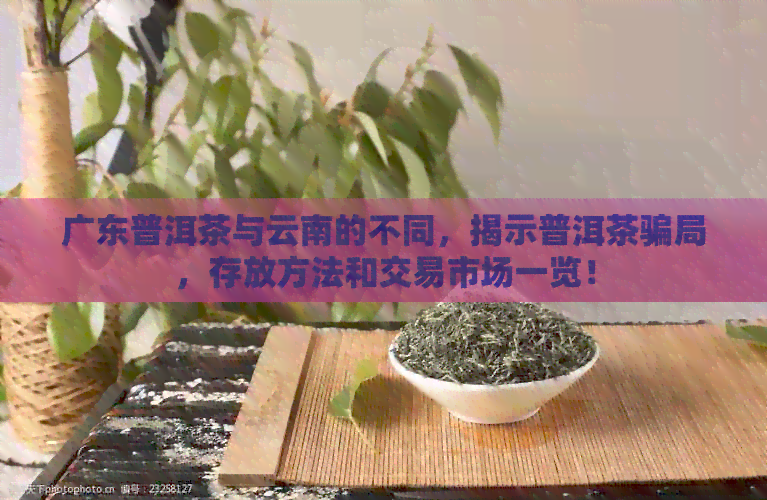 广东普洱茶与云南的不同，揭示普洱茶骗局，存放方法和交易市场一览！