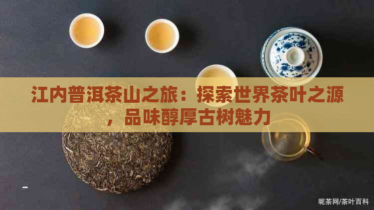 江内普洱茶山之旅：探索世界茶叶之源，品味醇厚古树魅力