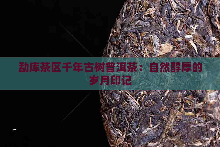 勐库茶区千年古树普洱茶：自然醇厚的岁月印记