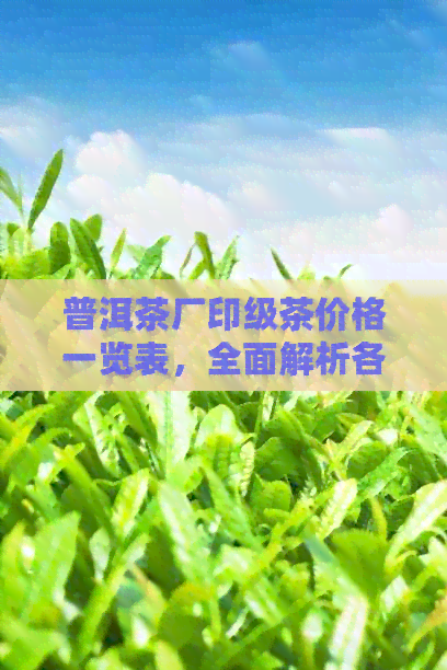 普洱茶厂印级茶价格一览表，全面解析各类茶叶的价格与品质