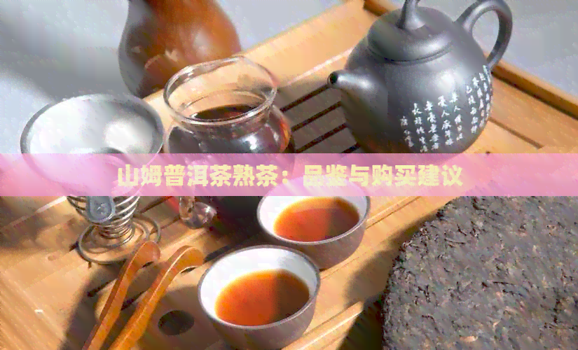 山姆普洱茶熟茶：品鉴与购买建议