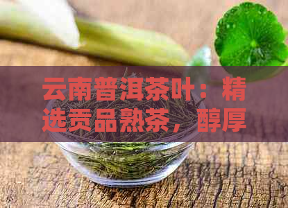 云南普洱茶叶：精选贡品熟茶，醇厚口感与健生活的完美结合