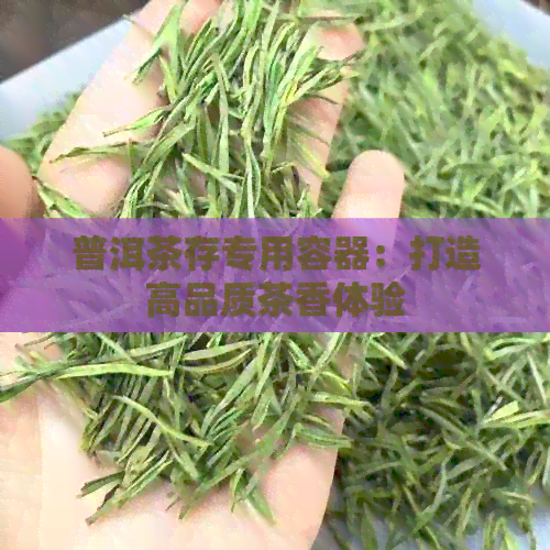 普洱茶存专用容器：打造高品质茶香体验