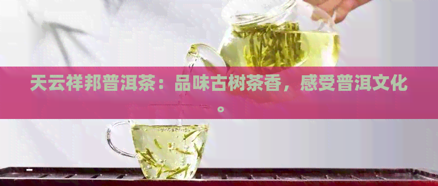 天云祥邦普洱茶：品味古树茶香，感受普洱文化。