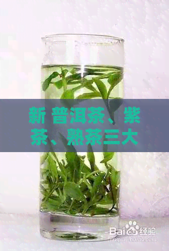 新 普洱茶、紫茶、熟茶三大经典茶叶对比，究竟哪款更适合你？