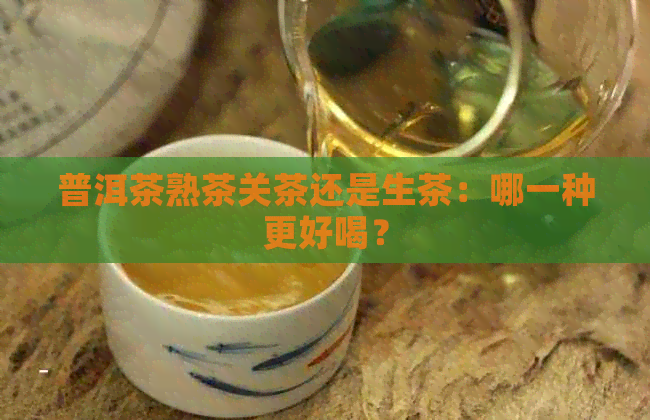 普洱茶熟茶关茶还是生茶：哪一种更好喝？