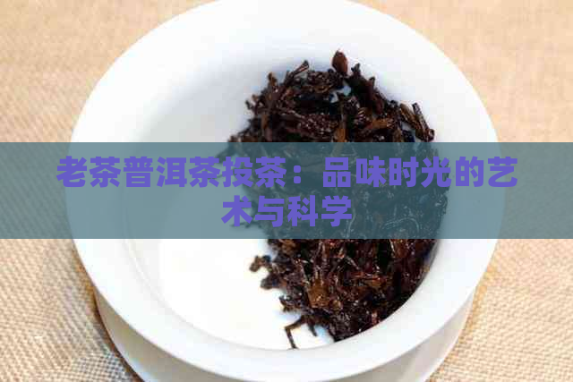 老茶普洱茶投茶：品味时光的艺术与科学